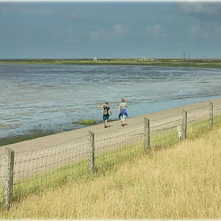 On Former Island Wieringen *