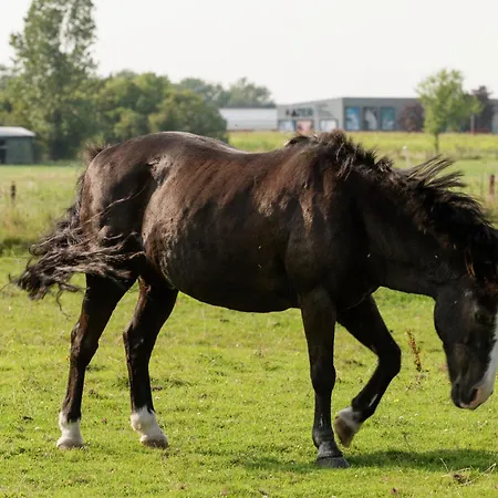 Near Lutjestrand Oosterklief