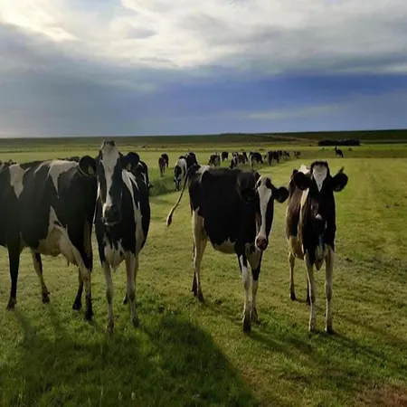 펜션 Near Lutjestrand Oosterklief